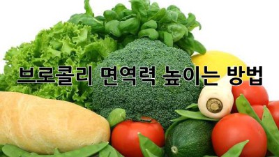 브로콜리 면역력 높이는 방법